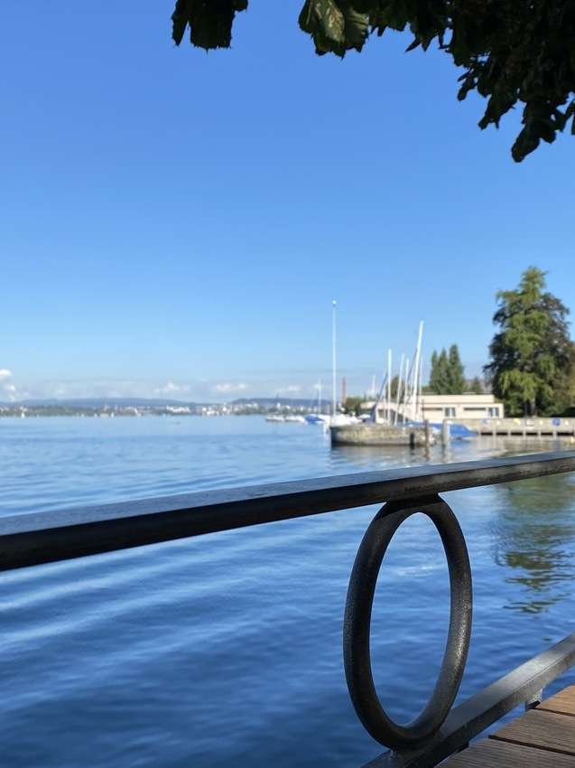 Ausblick von Romantik Seehotel Sonne Küsnachtauf Zürichsee